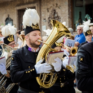 Bezirksmusikfest_2017_Festumzug_(c)_Max_Foidl_(56).jpg