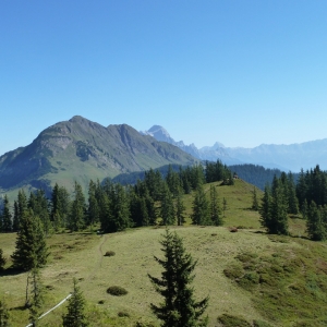 Musiwandertag_Burgeralm_2015__-_12.jpg