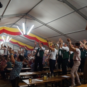 Bezirksmusikfest_2017_Samstag_-_98.jpg