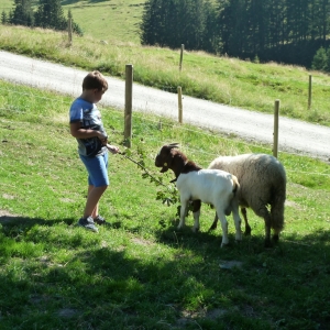 Musiwandertag_Burgeralm_2015__-_54.jpg