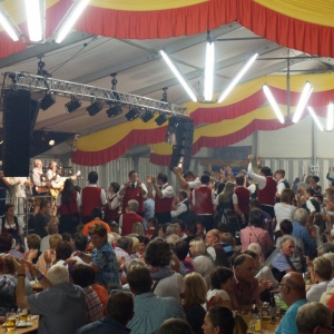 Bezirksmusikfest_2017_Samstag_-_92.jpg