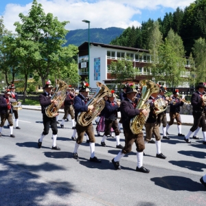 Tag_der_Blasmusik_2017_-_11.jpg