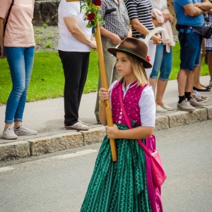 Bezirksmusikfest_2017_Festumzug_(c)_Max_Foidl_(6).jpg