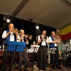 Bezirksmusikfest_2017_Samstag_-_55.jpg