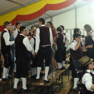 Bezirksmusikfest_2017_Freitag_-_16.jpg