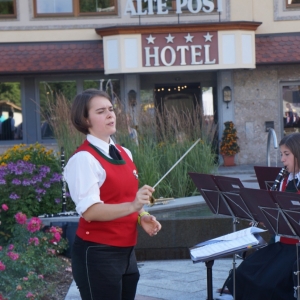 Bezirksmusikfest_2017_Samstag_-_20.jpg