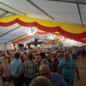 Bezirksmusikfest_2017_Samstag_-_41.jpg