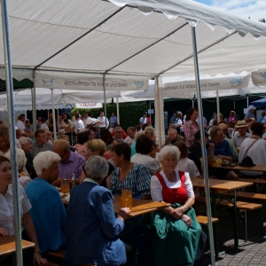 Tag_der_Blasmusik_2017_-_41.jpg