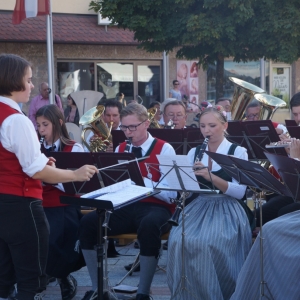 Bezirksmusikfest_2017_Samstag_-_14.jpg