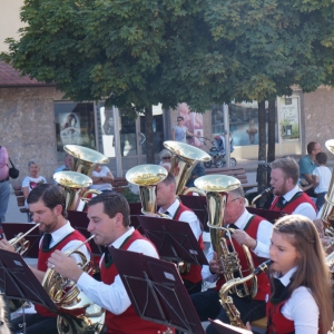 Bezirksmusikfest_2017_Samstag_-_19.jpg