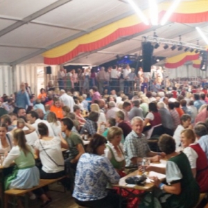 Bezirksmusikfest_2017_Samstag_-_87.jpg