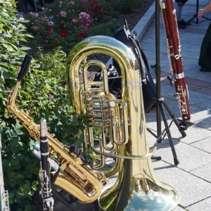 Bezirksmusikfest_2017_Samstag_-_4.jpg