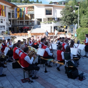 Bezirksmusikfest_2017_Samstag_-_8.jpg